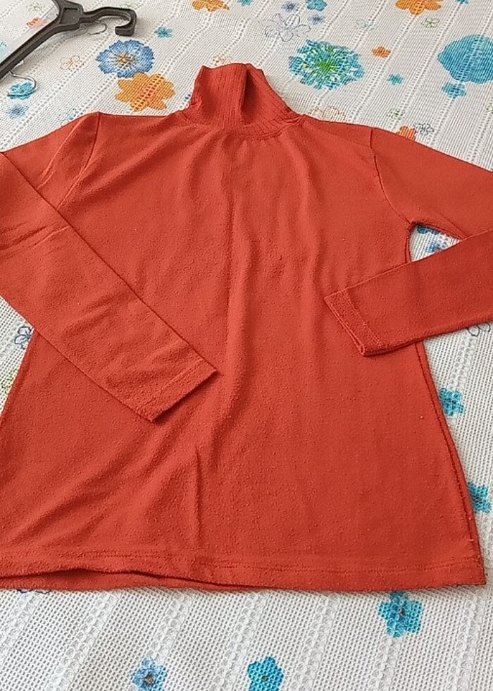 Boyunlu kazak - Görsel 2