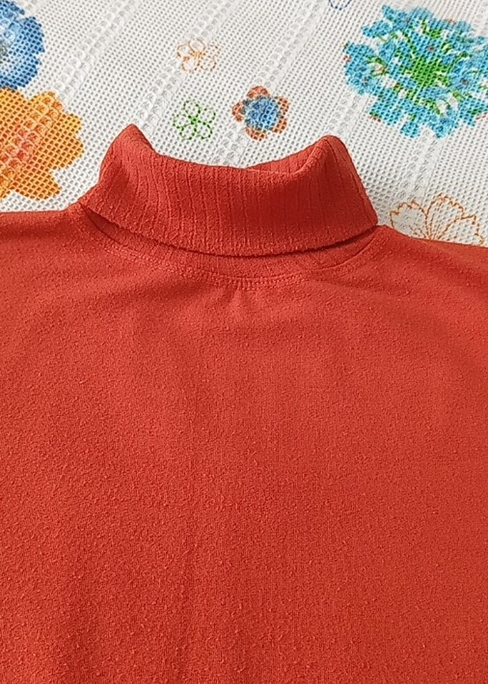 Boyunlu kazak - Görsel 3