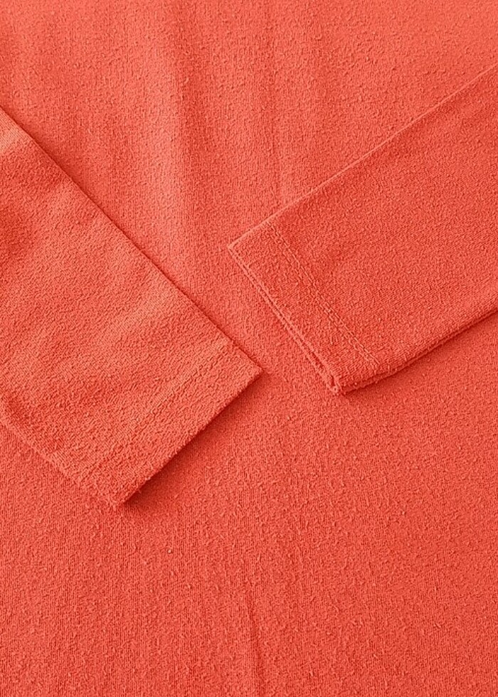 Boyunlu kazak - Görsel 4