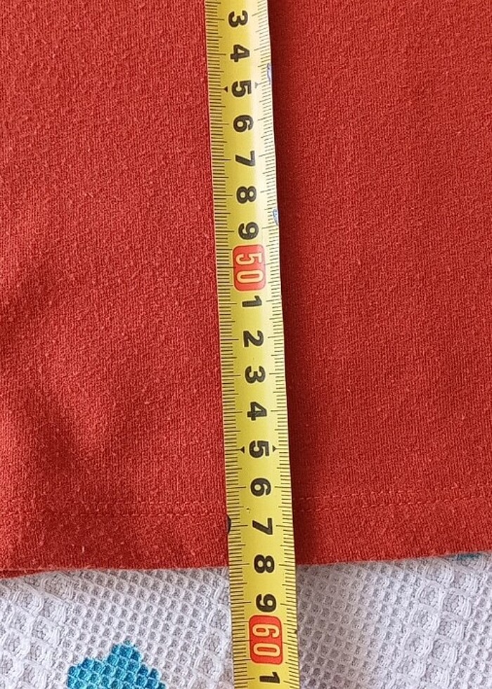 Boyunlu kazak - Görsel 5