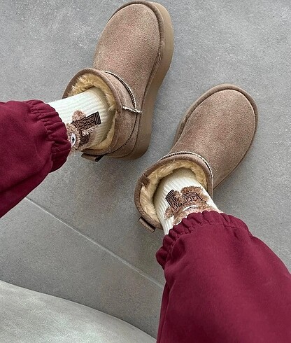 37 Beden Ugg Bot