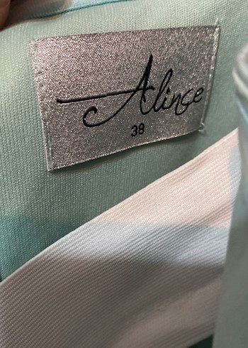 Su yeşili Straplez Uzun Pilili Kadın Abiye Elbise - Görsel 5