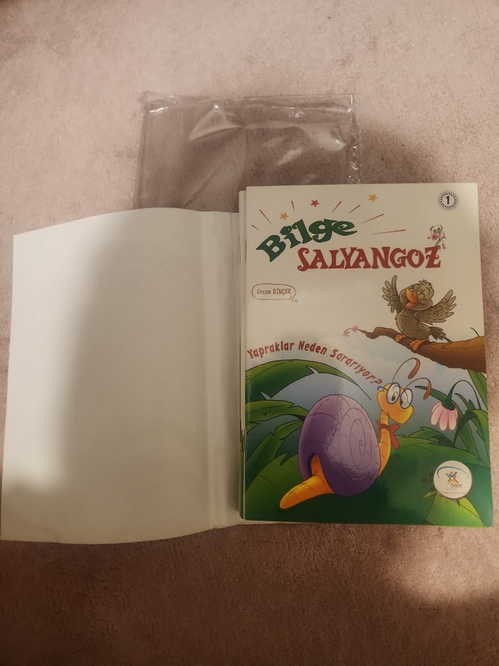Bilge Salyangoz Çocuk Kitabı - Görsel 2
