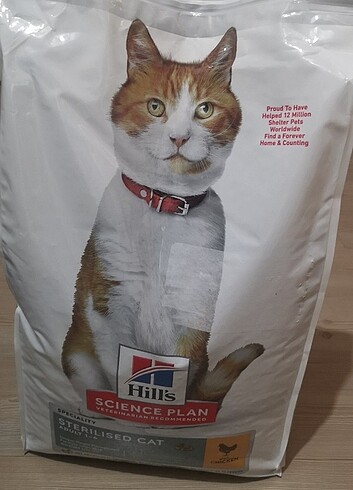 Kedi Maması 