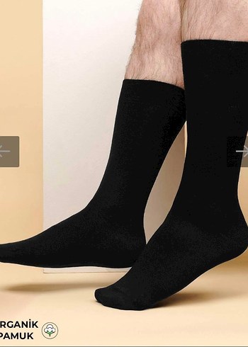 Misirli Organik Pamuk Siyah Erkek Çorap 6'lı - Görsel 6