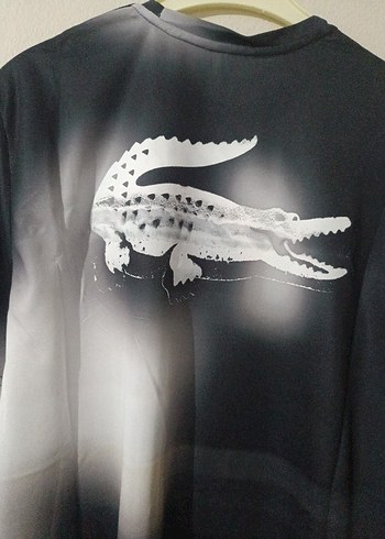 xl Beden siyah Renk Lacoste Erkek Siyah Gri Baskılı Tişört