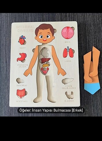 Barbie İnsan vücudu bul tak