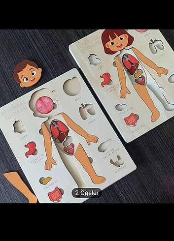  Beden İnsan vücudu bul tak