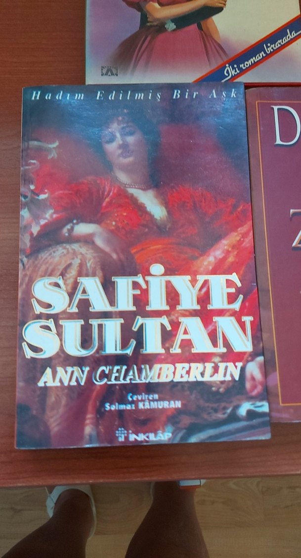 Barbara Cartland, Ann Chamberlin, Danielle Steel Roman Seti - Görsel 2