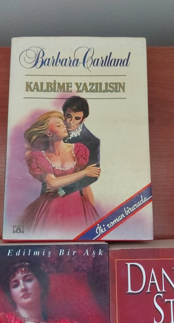 Barbara Cartland, Ann Chamberlin, Danielle Steel Roman Seti - Görsel 4