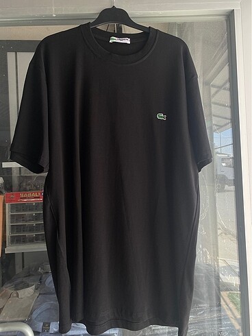 Lacoste erkek tişört