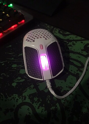 Mouse