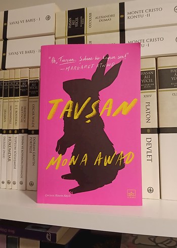 Tavşan - Mona Awad ithaki yayınları