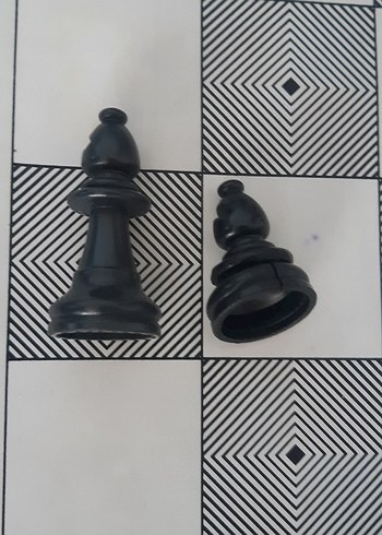 Beden Renk Satranç Takımı Seti