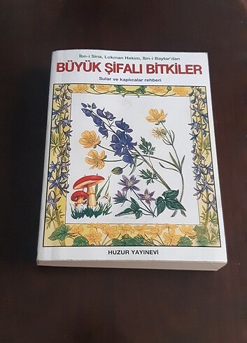 Büyük Şifalı Bitkiler 