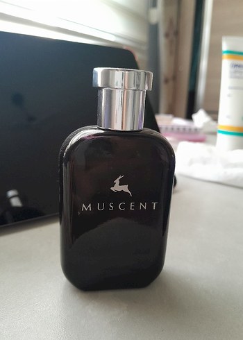 MUSCENT prada paradox