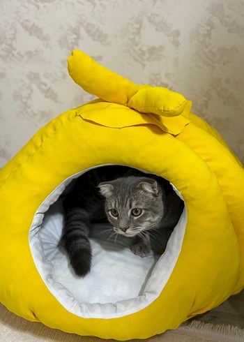 Kedi evi - Görsel 2