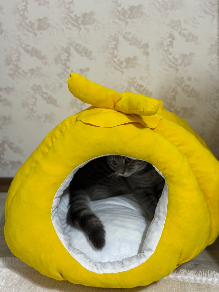 Kedi evi - Görsel 3