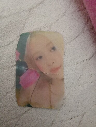Rose Photocard