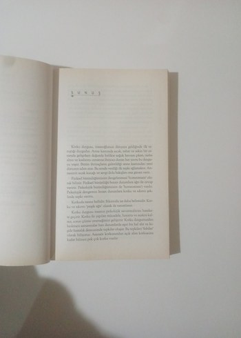 Korku Yorum - Yıldız Burkovik, Oğuz Tan - Görsel 7