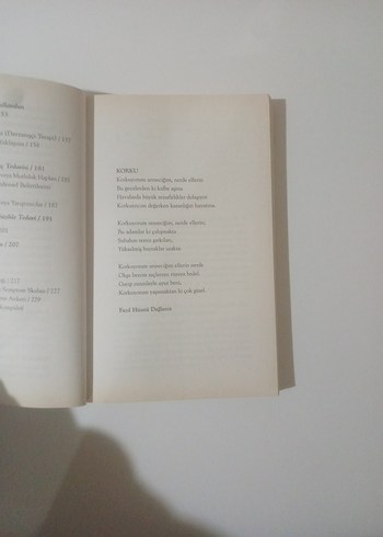 Korku Yorum - Yıldız Burkovik, Oğuz Tan - Görsel 6