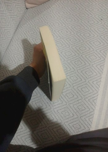 Kürt Aleviliği - Ali Rıza Özdemir - Görsel 4