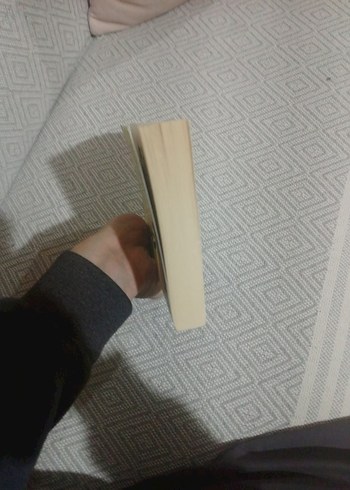 Kürt Aleviliği - Ali Rıza Özdemir - Görsel 5