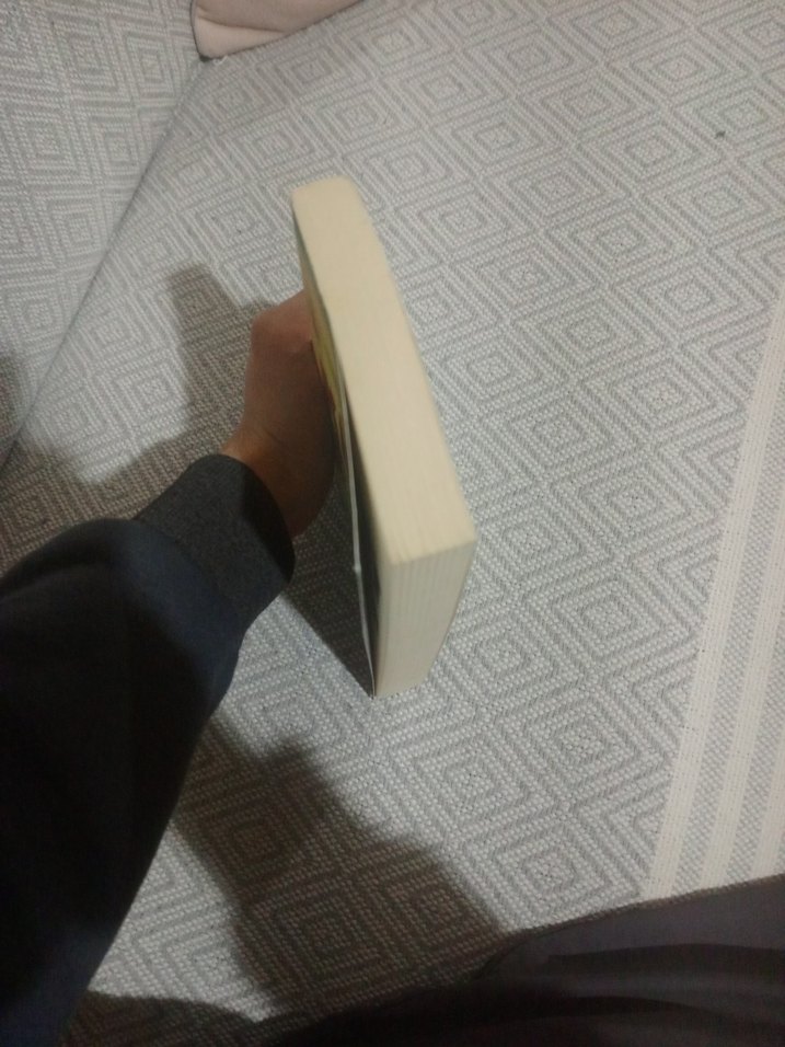 Kürt Aleviliği - Ali Rıza Özdemir - Görsel 4