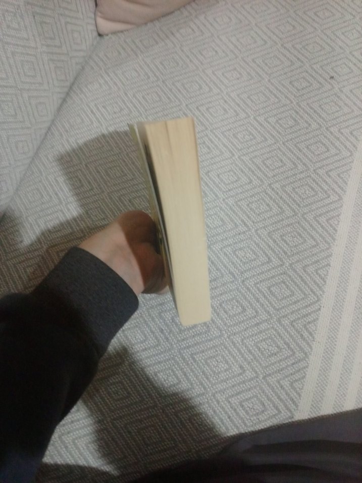 Kürt Aleviliği - Ali Rıza Özdemir - Görsel 5