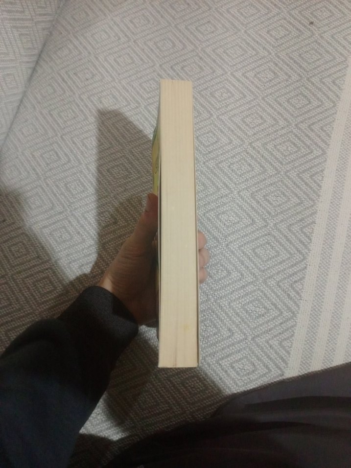 Kürt Aleviliği - Ali Rıza Özdemir - Görsel 3