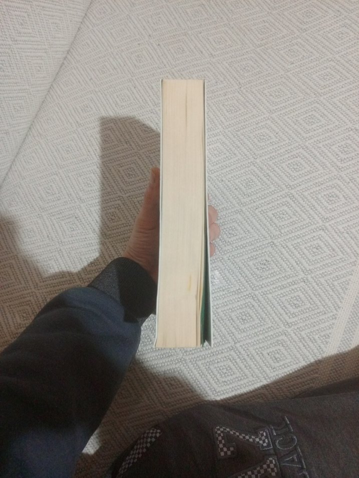 Mekke Mukaddes Belde - Ziyauddin Serdar - Görsel 4