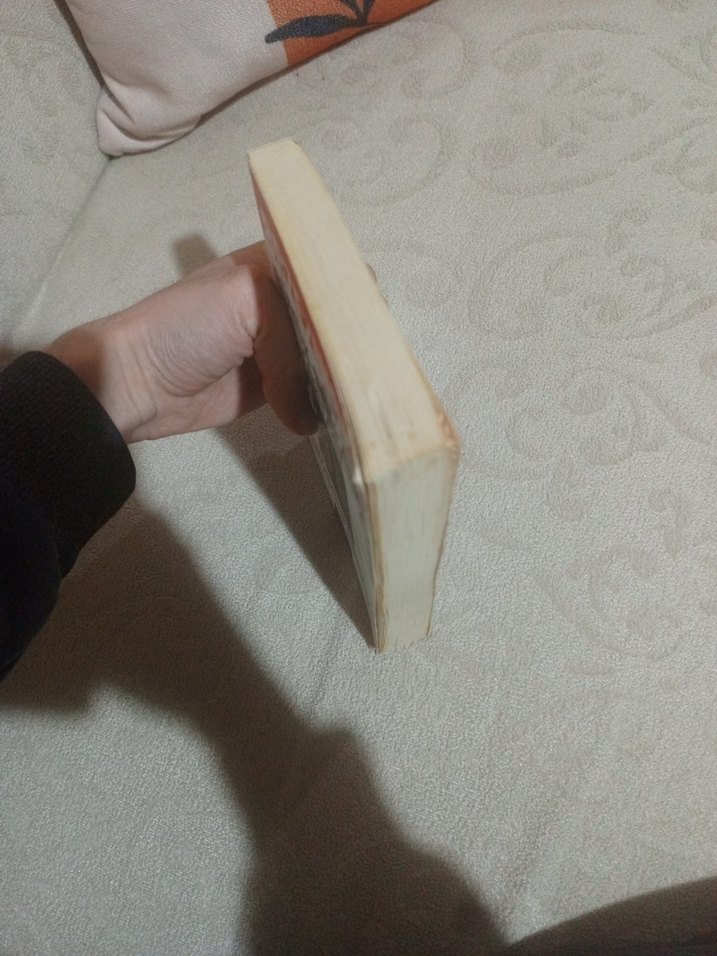 Büyük Satranç Tahtası - Brzezinski - Görsel 5