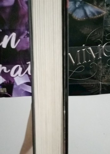  Beden Renk Raven Suikastçısı - Selin Solaris
