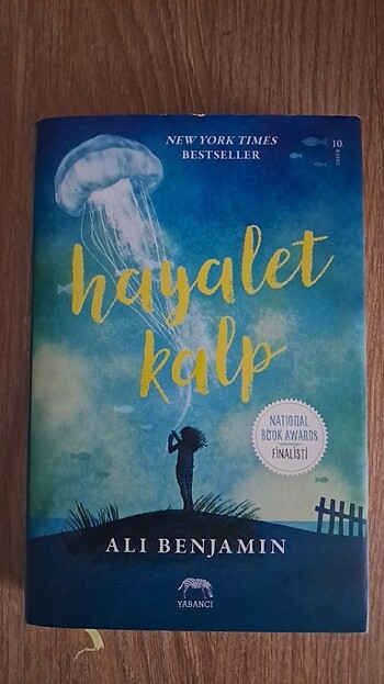 Hayalet kalp