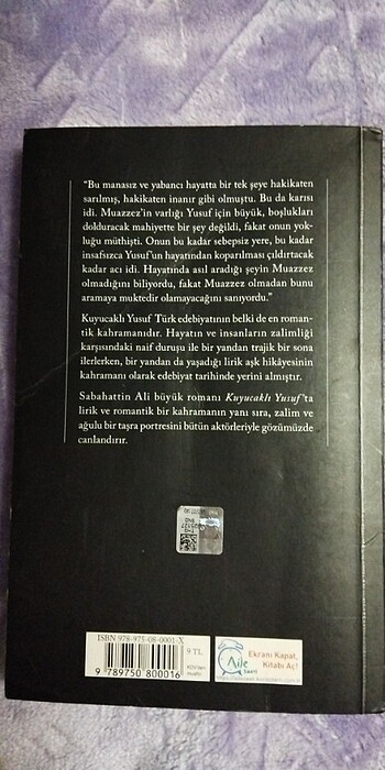 Kuyucaklı Yusuf - Görsel 2