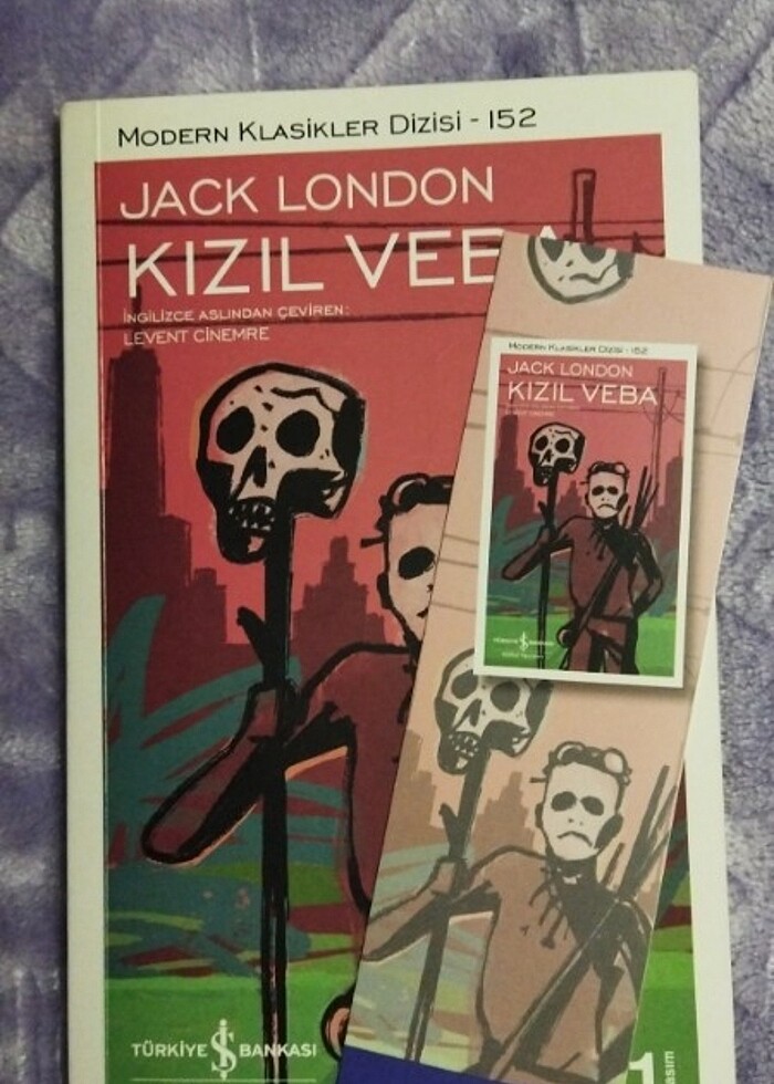 Kızıl veba altıncı koğuş kitapları  - Görsel 2