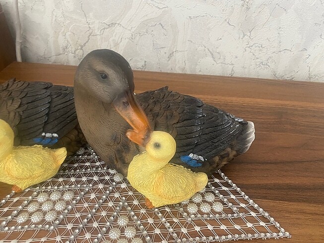 Diğer Çift örden süsü
