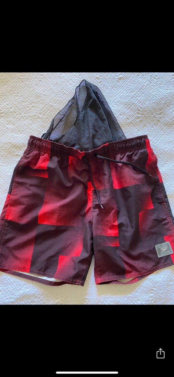 Speedo Erkek Deniz Şortu - Görsel 4