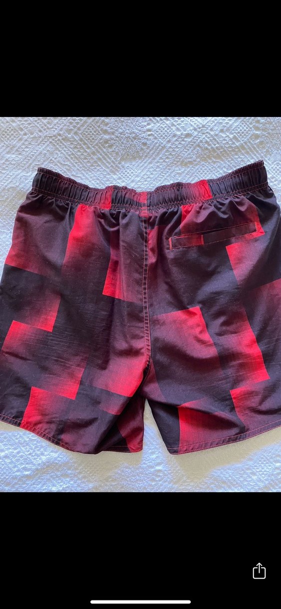 Speedo Erkek Deniz Şortu - Görsel 2