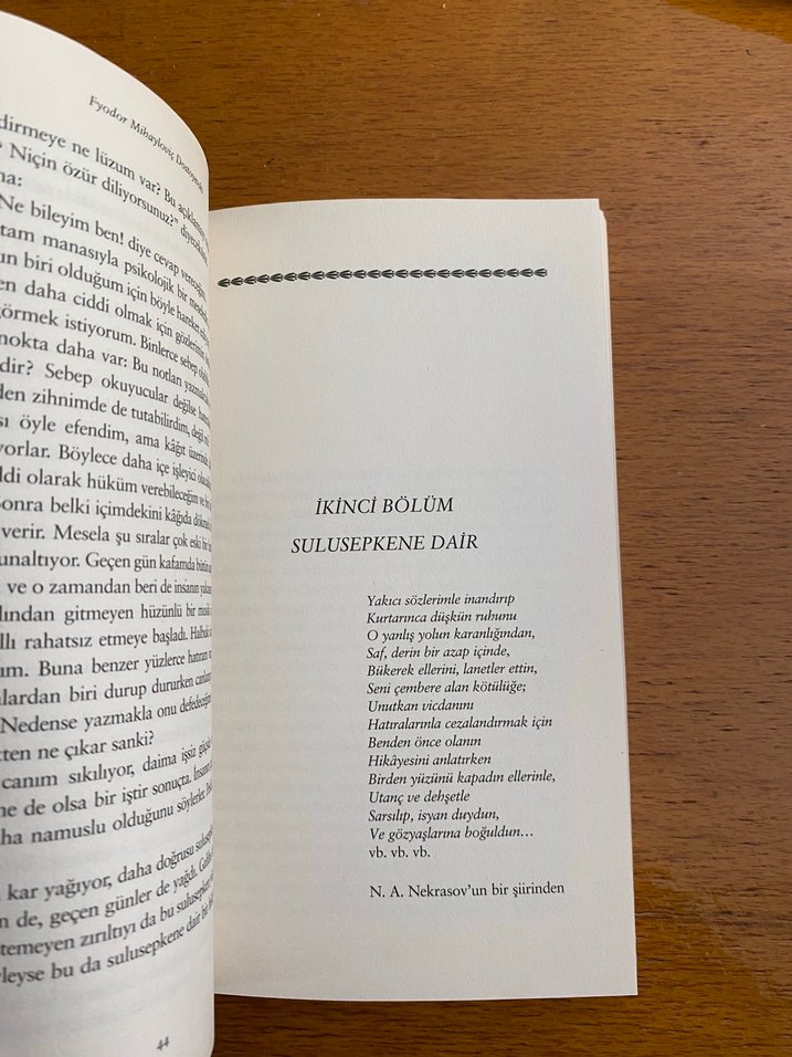 Yeraltından Notlar - Fyodor Dostoyevski - Görsel 4