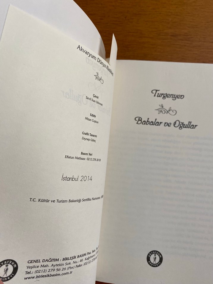 Babalar ve Oğullar - Turgenyev - Görsel 3