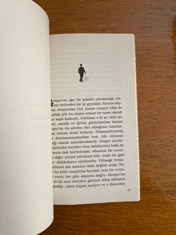 Dönüşüm - Franz Kafka - Görsel 2