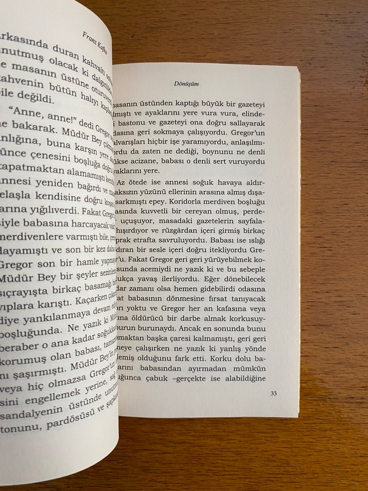 Dönüşüm - Franz Kafka - Görsel 4