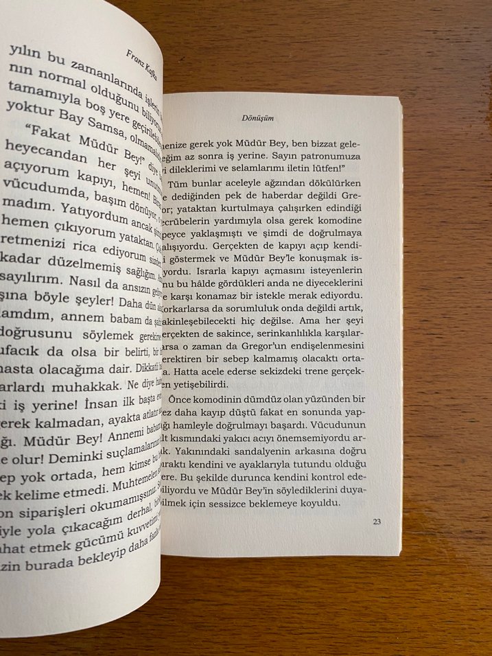 Dönüşüm - Franz Kafka - Görsel 5