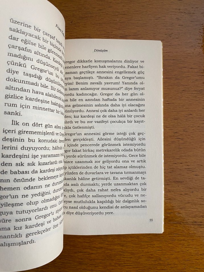 Dönüşüm - Franz Kafka - Görsel 3