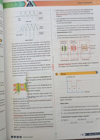 Beden AYT Biyoloji Ders Notları - Limit Yayınları