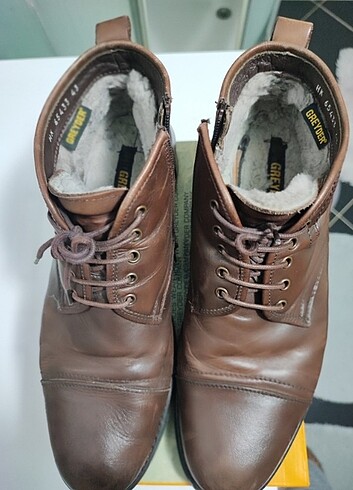 Greyder Erkek Bot - Görsel 2