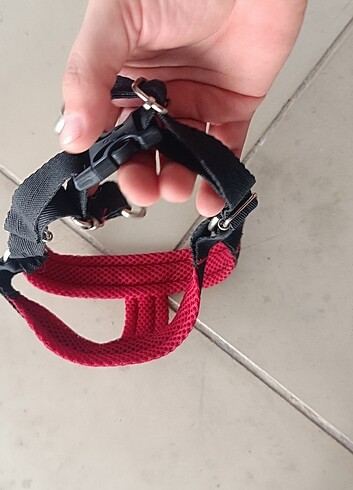 Yavru Köpek Tasması