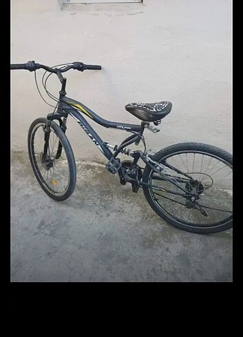  Beden Bisan