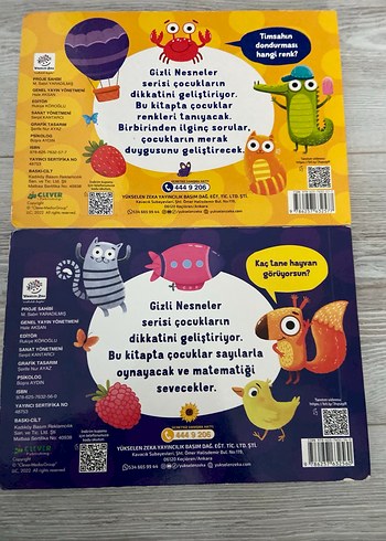 YÜKSELEN ZEKA GİZLİ NESNELER - Görsel 2